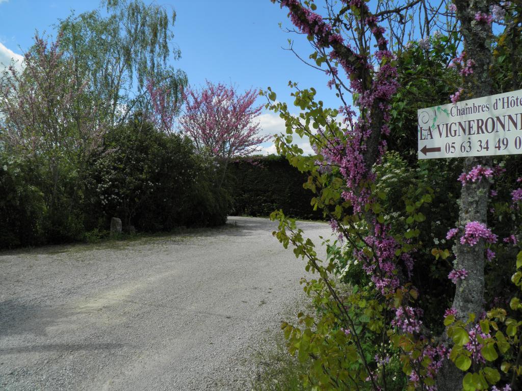 Chambres D'Hotes La Vigneronne Senouillac Exteriör bild